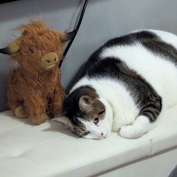 Don't Sleep On These Amazing Deals - Picture 7 of 7